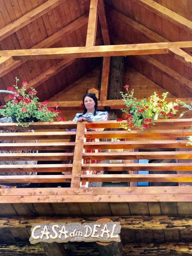 Domeniul Horj Casa Din Deal Moisei Dış mekan fotoğraf