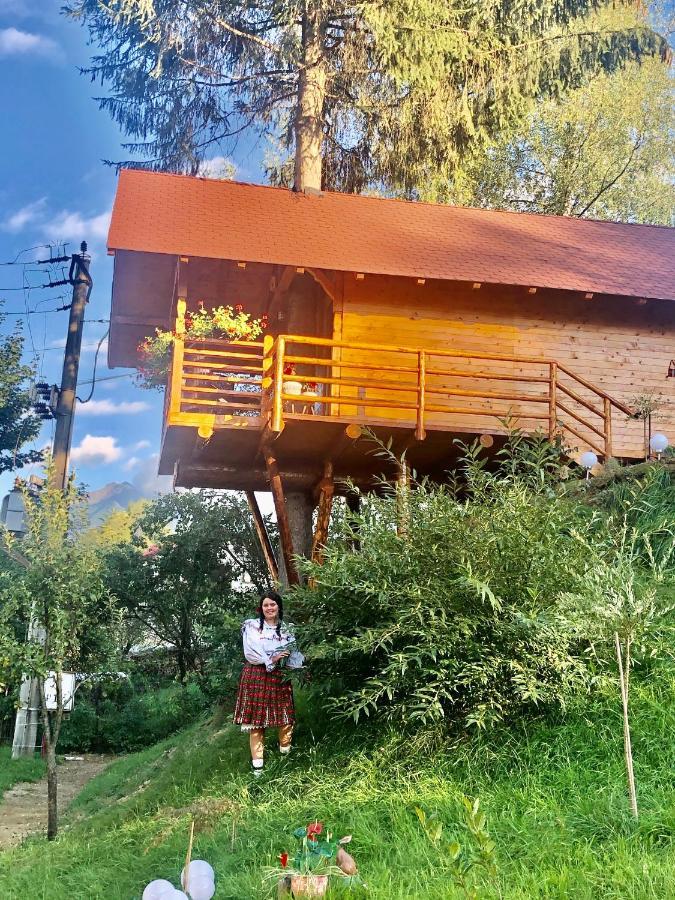 Domeniul Horj Casa Din Deal Moisei Villa Dış mekan fotoğraf