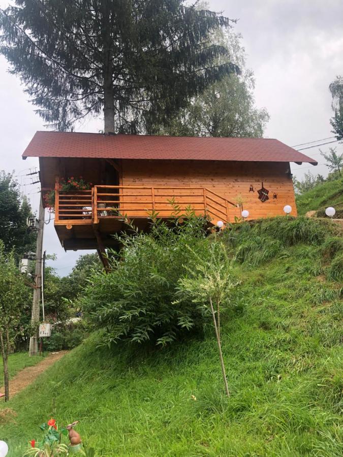 Domeniul Horj Casa Din Deal Moisei Dış mekan fotoğraf