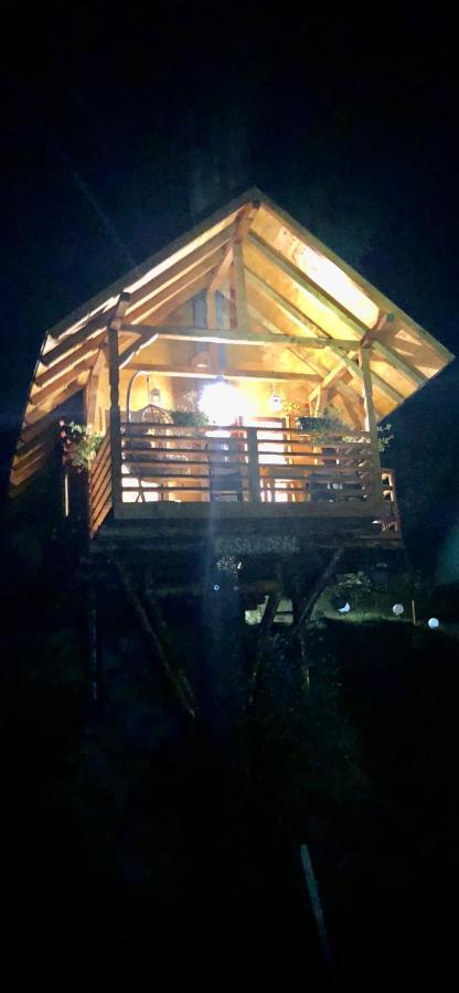 Domeniul Horj Casa Din Deal Moisei Dış mekan fotoğraf