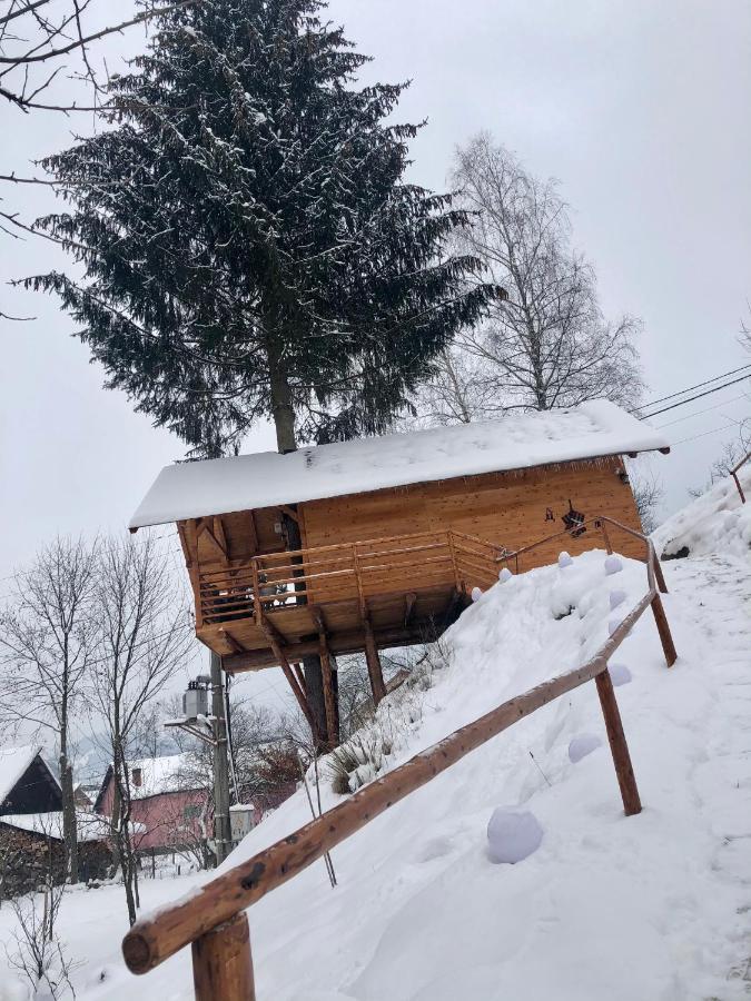 Domeniul Horj Casa Din Deal Moisei Dış mekan fotoğraf