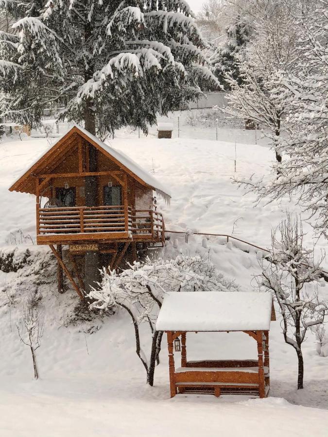 Domeniul Horj Casa Din Deal Moisei Villa Dış mekan fotoğraf