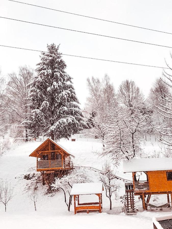 Domeniul Horj Casa Din Deal Moisei Villa Dış mekan fotoğraf