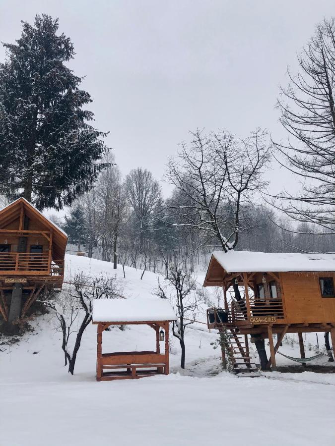 Domeniul Horj Casa Din Deal Moisei Dış mekan fotoğraf